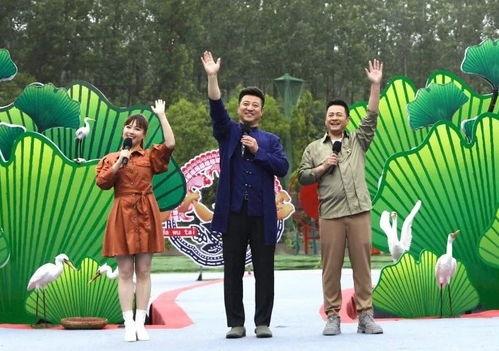 胜子大哥爆料视频大全最新,揭秘娱乐圈幕后真相